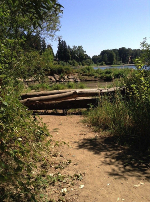 View of the Willamette River from the natural surface trail